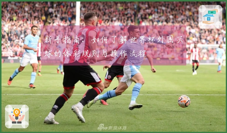 新手指南：如何了解世界杯外围买球的体彩规则与操作流程