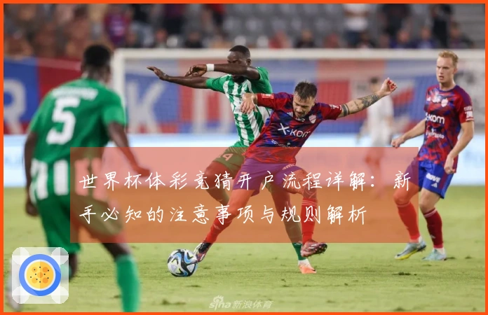 世界杯体彩竞猜开户流程详解：新手必知的注意事项与规则解析