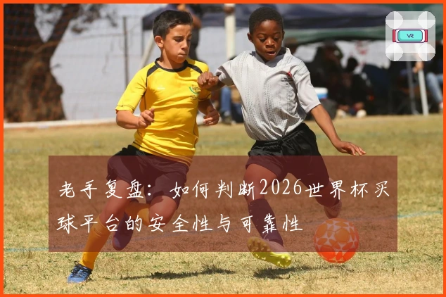 老手复盘：如何判断2026世界杯买球平台的安全性与可靠性