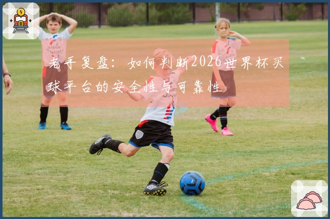 老手复盘：如何判断2026世界杯买球平台的安全性与可靠性