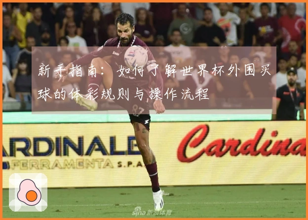 新手指南：如何了解世界杯外围买球的体彩规则与操作流程