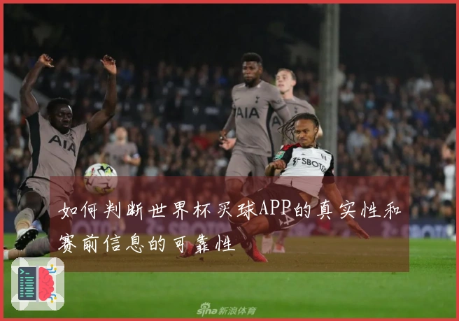 如何判断世界杯买球APP的真实性和赛前信息的可靠性