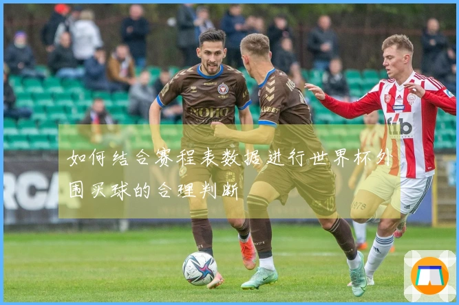 如何结合赛程表数据进行世界杯外围买球的合理判断